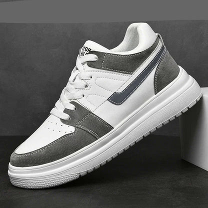 Men's shoes casual, several sizes and different colors - Nix Store